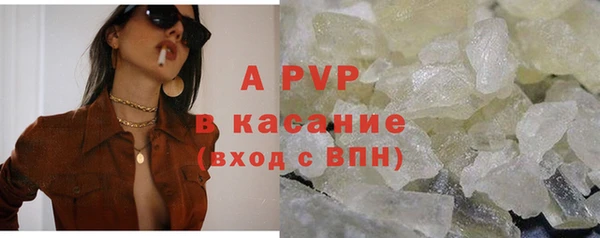 spice Осинники