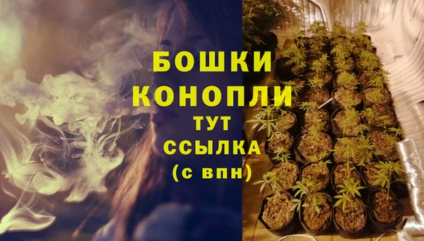 индика Осташков
