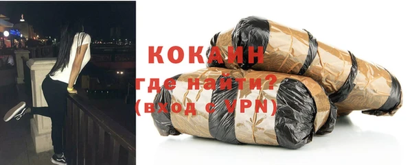 индика Осташков