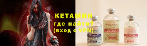 индика Осташков