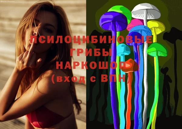 индика Осташков