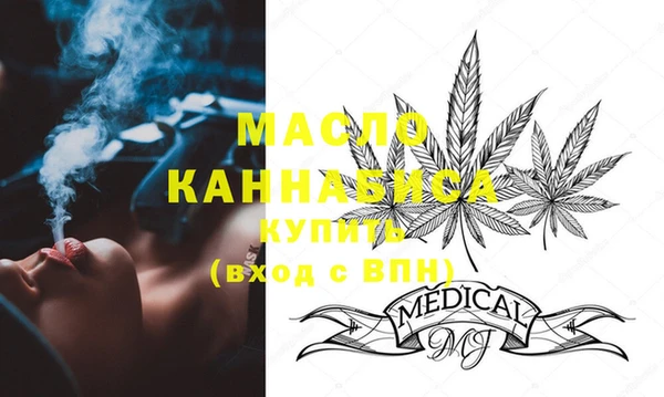 индика Осташков