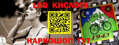 дмт Краснодар