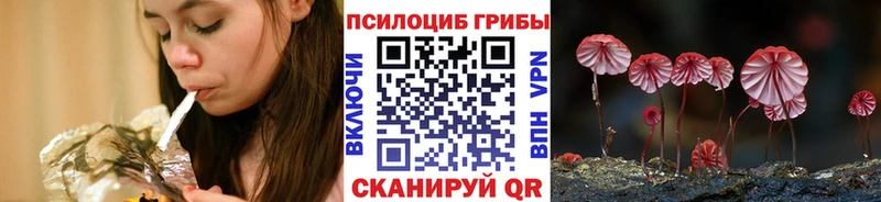 Псилоцибиновые грибы Cubensis  Солнечногорск 
