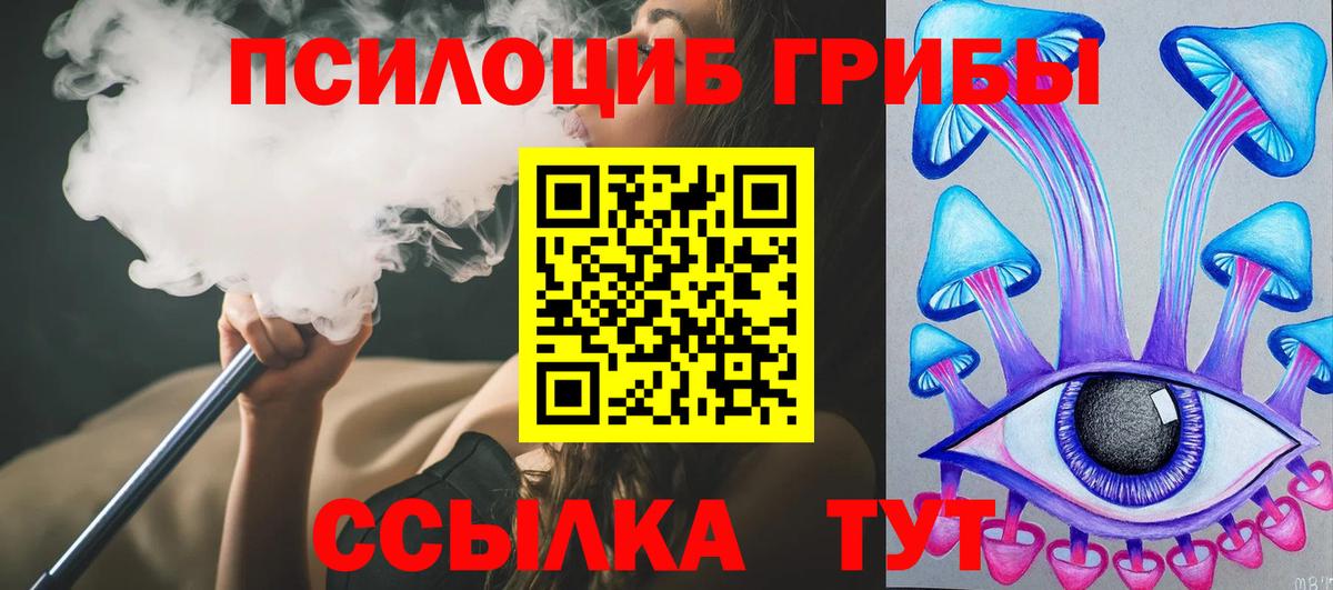наркотики  Вход с VPN  Солнечногорск  Галлюциногенные грибы Cubensis 