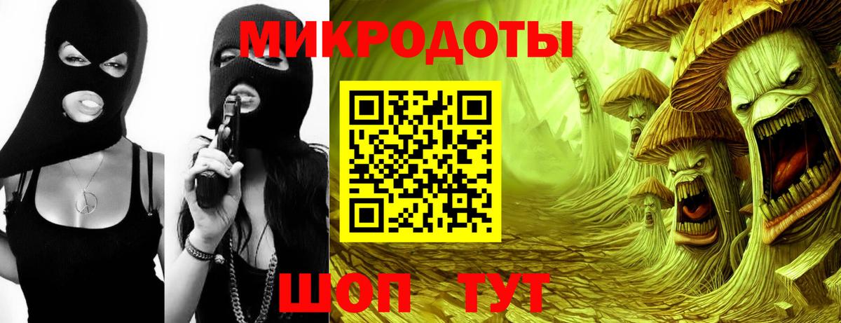 Галлюциногенные грибы Psilocybe Солнечногорск